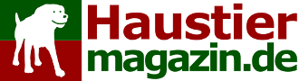 Übergewicht bei Haustieren senkt die Lebenserwartung