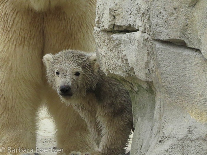 Next Top-Model im Zoo am Meer: Üben für den großen Auftritt