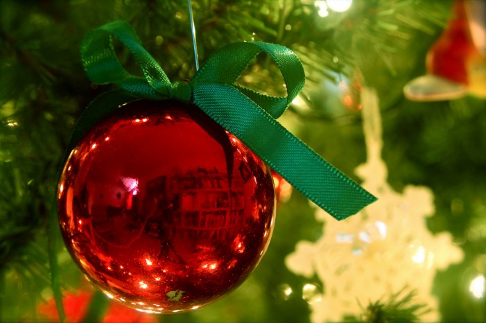 Ich wünsch’ mir eine Miezekatze: Weihnachten (k)ein Haustier