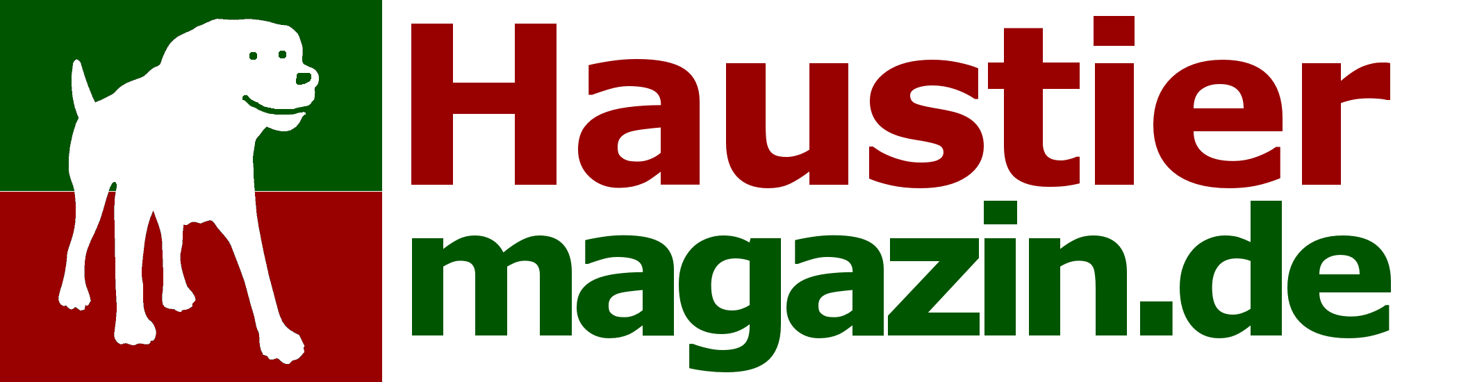 Bussard greift Jogger an: Der Grund ist so einfach…