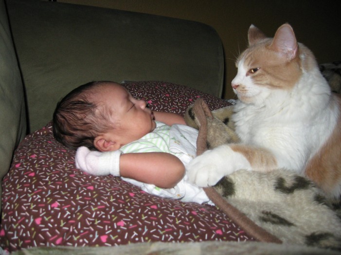 Kinder und Tiere: Immer beste Freunde