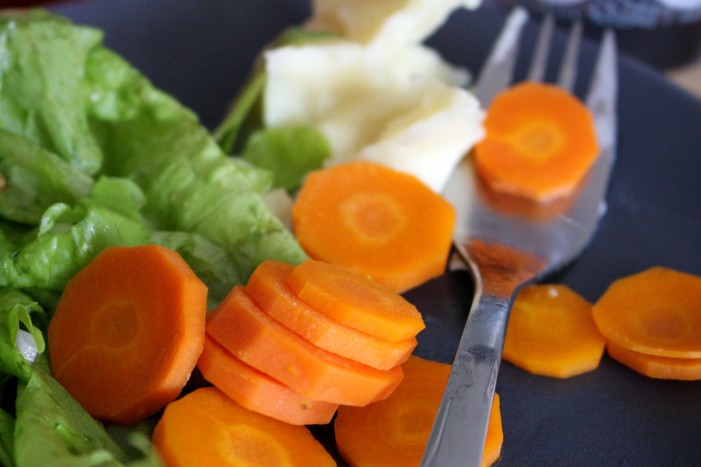 Klickertraining mit Kaninchen: Probiere es aus !