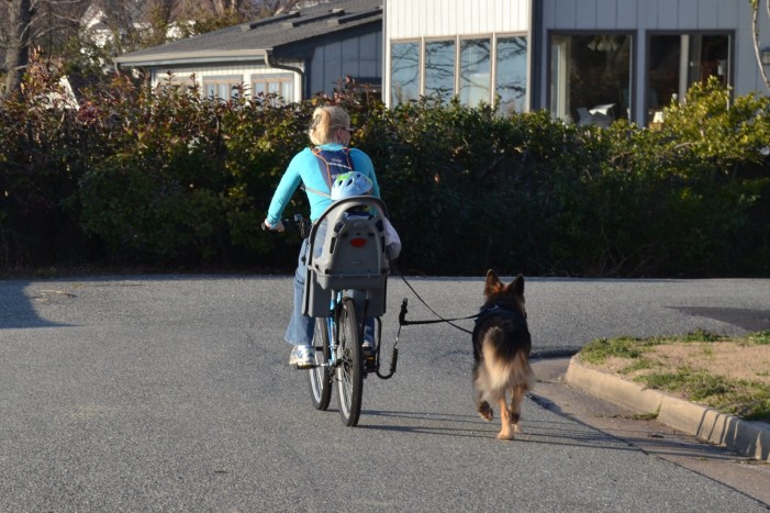 Gassirunde mit dem Rad: Gut für den Hund?