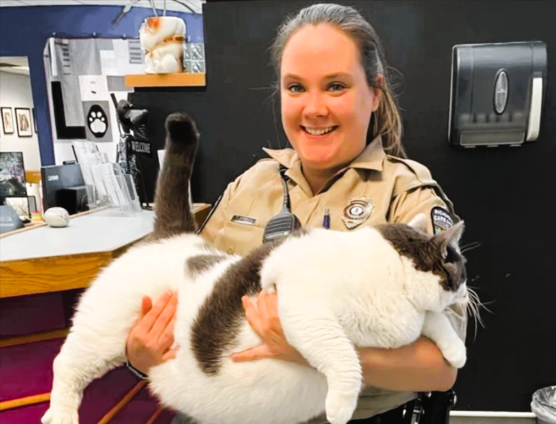 Einfach unglaublich! Dickster Kater der Welt wiegt 18 Kilogramm 